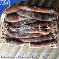 frozen whole round squid argentina calamary squid illex 400-600g